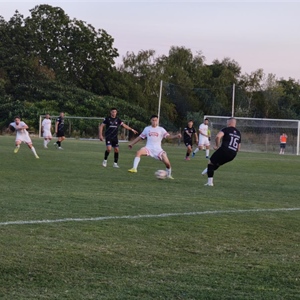 Mitnica – Sloga Borovo 4:4