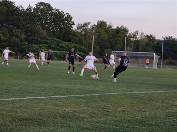 Mitnica – Sloga Borovo 4:4