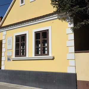 Znanstveno-stručni skup u čast vinkovačkim književnicima i umjetnicima...