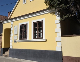 Znanstveno-stručni skup u čast vinkovačkim književnicima i umjetnicima...