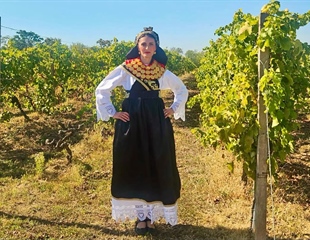 Večeras u Iloku izbor najuzornije hrvatske seoske žene, našu županiju...