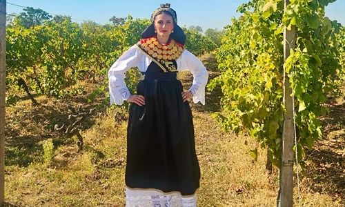 Večeras u Iloku izbor najuzornije hrvatske seoske žene, našu županiju...