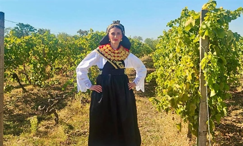 Večeras u Iloku izbor najuzornije hrvatske seoske žene, našu županiju...
