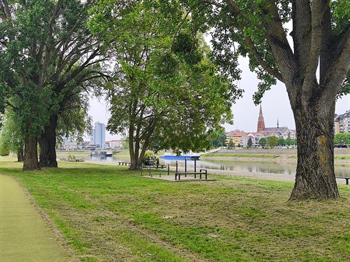 Osijek ponovno okuplja stručnjake za endoskopsku kirurgiju