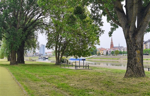 Osijek ponovno okuplja stručnjake za endoskopsku kirurgiju