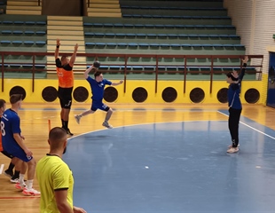 Rukometaši Borova gostuju u Novoj Gradiški