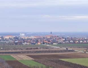 Ilok okuplja Europu oko vinskog i ruralnog turizma