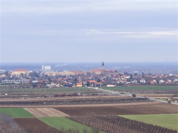 Ilok okuplja Europu oko vinskog i ruralnog turizma