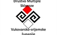 Društvo multiple skleroze Vukovarsko-srijemske županije organizira Art terapiju